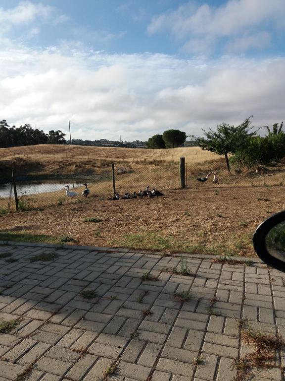 Vila Corvos E Cadavais Almodôvar Exteriér fotografie